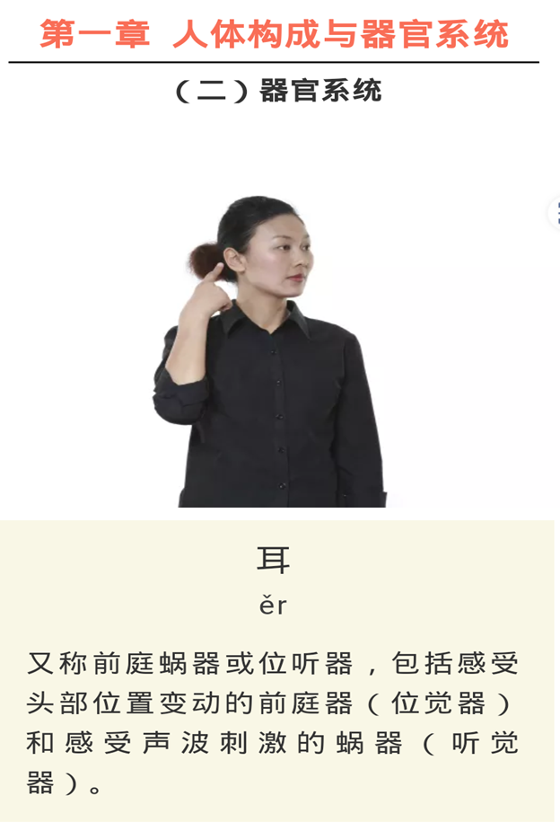 说明: C:/Documents and Settings/Administrator/桌面/超级截屏_20181106_205742.png