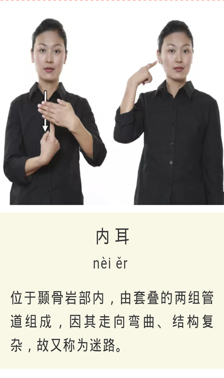 说明: C:/Documents and Settings/Administrator/桌面/超级截屏_20181106_205905.png